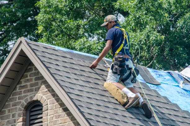 Best Storm Damage Roof Repair  in Morgans Point Resort, TX